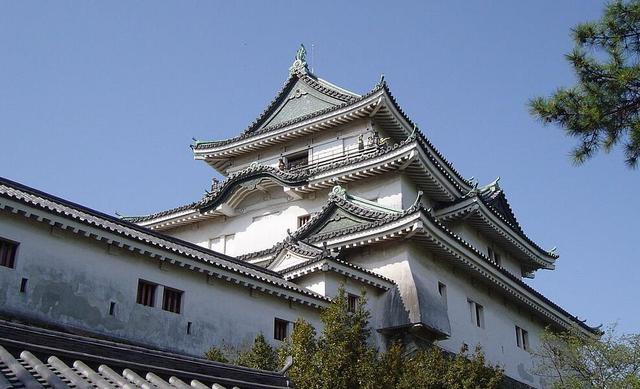 出身非常差的德川吉宗是怎么当上江户幕府八代大将军的?