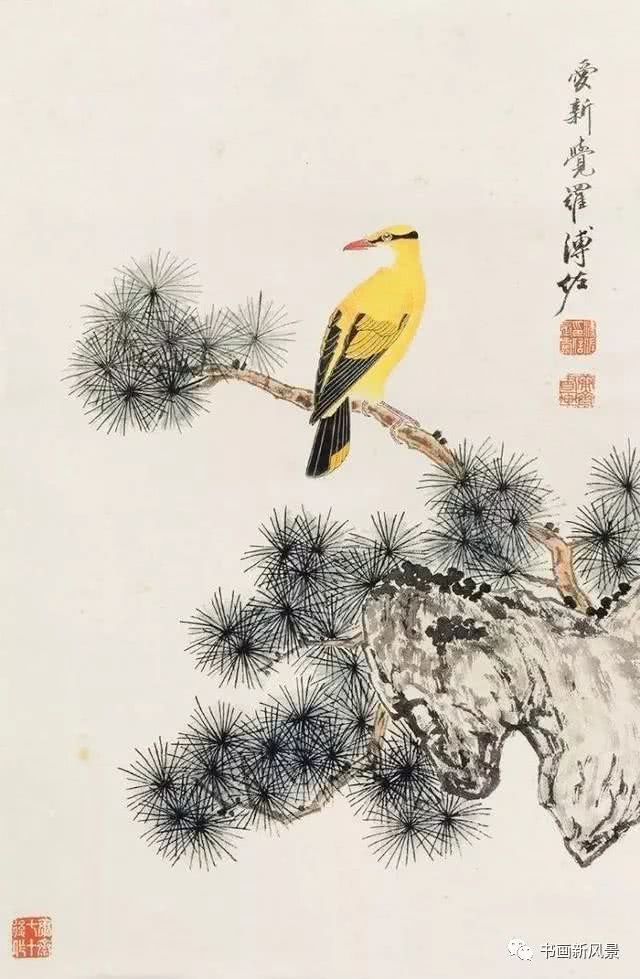 溥佐画黄鹂绝美