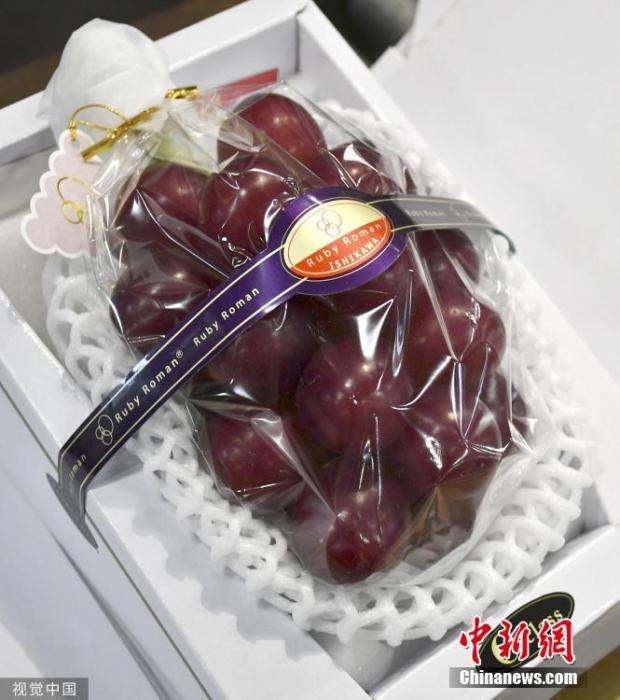 资料图：日本石川县产的“浪漫红宝石”牌葡萄。图片来源：视觉中国