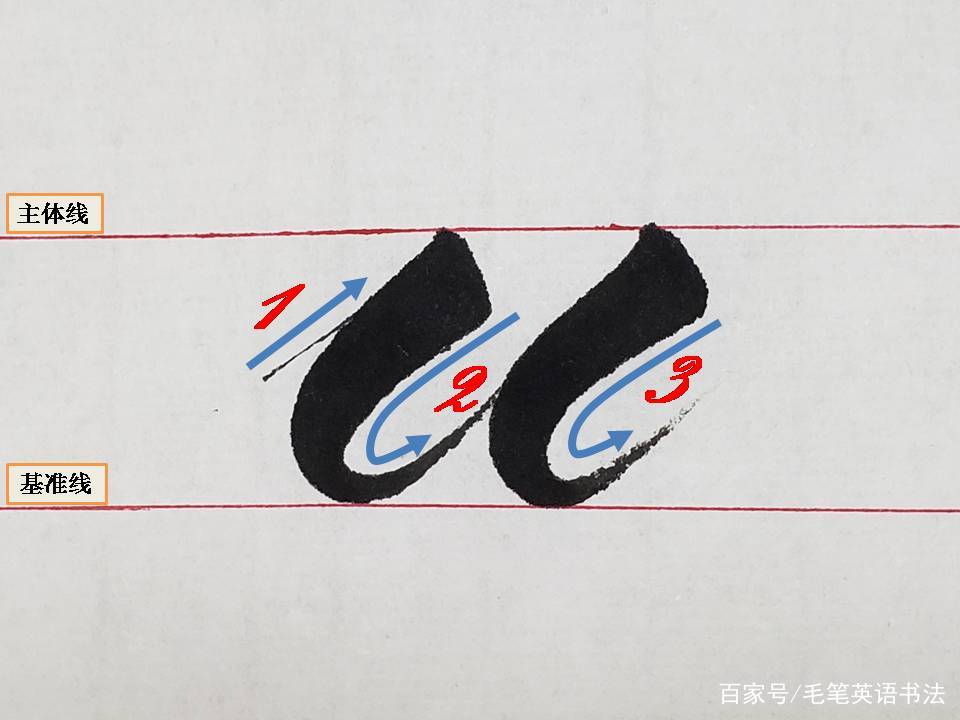 （十三）毛笔英文书法入门之圆体基本笔画弯钩|弯钩|基准线|写法_新浪新闻