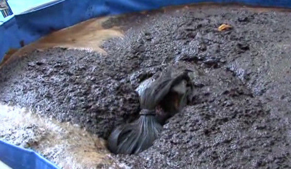 最让人难以忍受的是,印度人会用牛粪给自家的孩子洗澡,甚至连大人也会