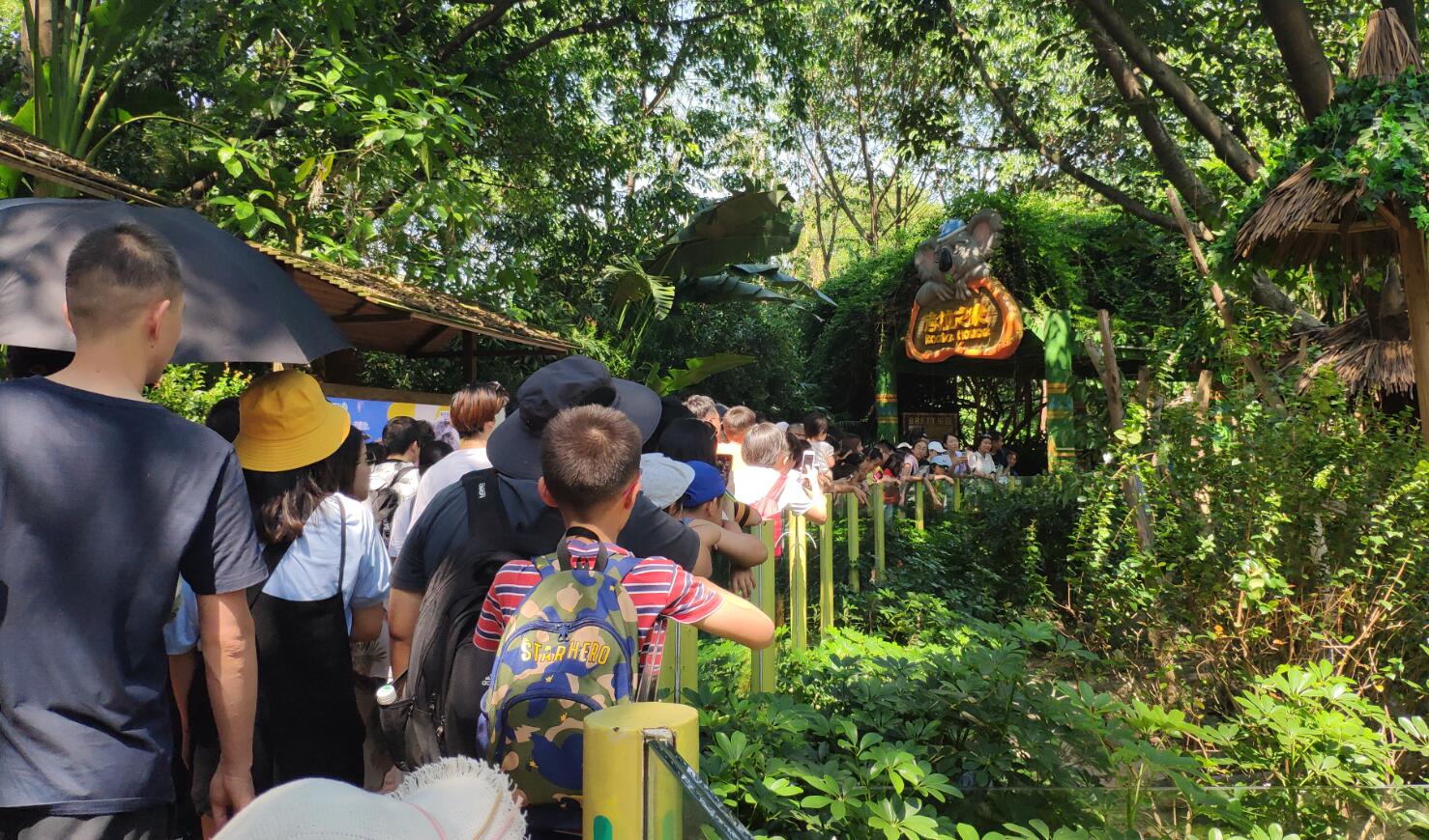 打卡國內最大野生動物園喂一次長頸鹿50元吃一頓中飯300