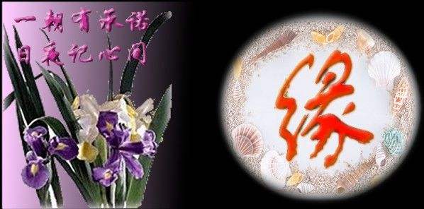 茫茫人海中两人从相遇相识相知到相亲相爱这就是缘分