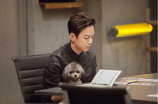 何炅素颜菜场买菜,电视形象差别甚大,如老大爷一般冻龄不再!