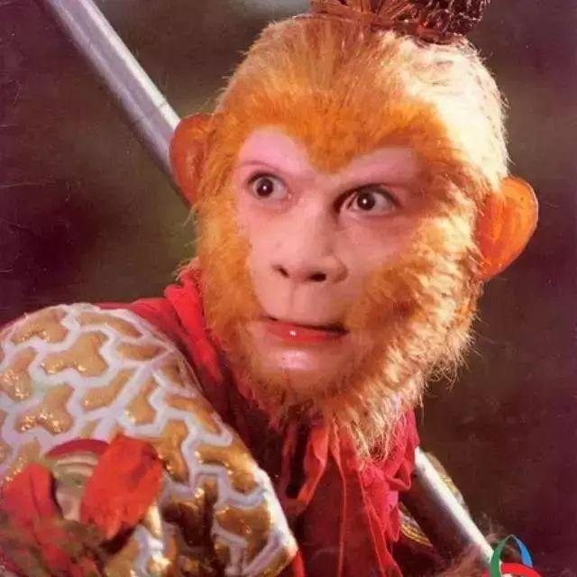 和孙悟空做兄弟的小说推荐 重生花果山内容有哪些精彩章节