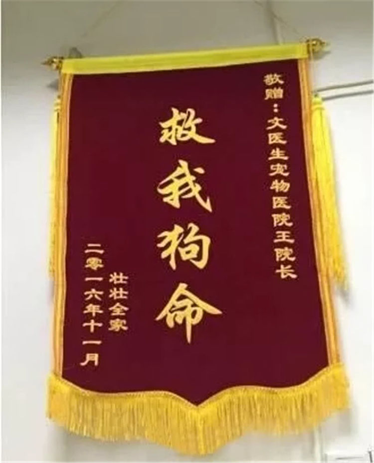 救我|锦旗|张让_新浪新闻