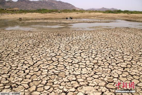资料图:2019年6月,印度多地气温逼近50摄氏度,接连不断热浪来袭触动了供水短缺的警告。