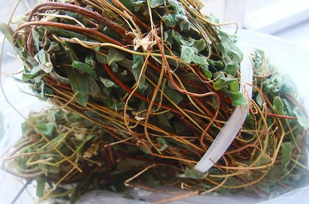 这植物叫鸡骨草,有抗痘清热解毒的功效,煮水喝甘甜爽口又能解渴