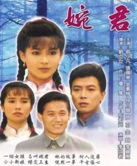徐乃麟在1989年拍摄的电视剧《婉君》中担任男主角