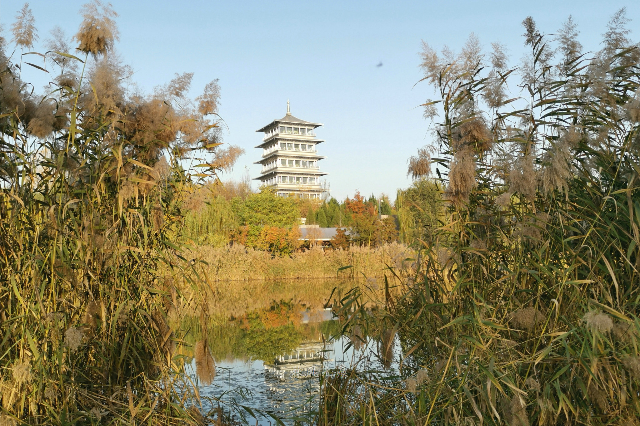 广运潭初冬的梦幻秋境