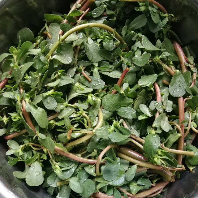 蒸马蜂菜馍,鲜香可口,味道太赞了,连着吃了2个