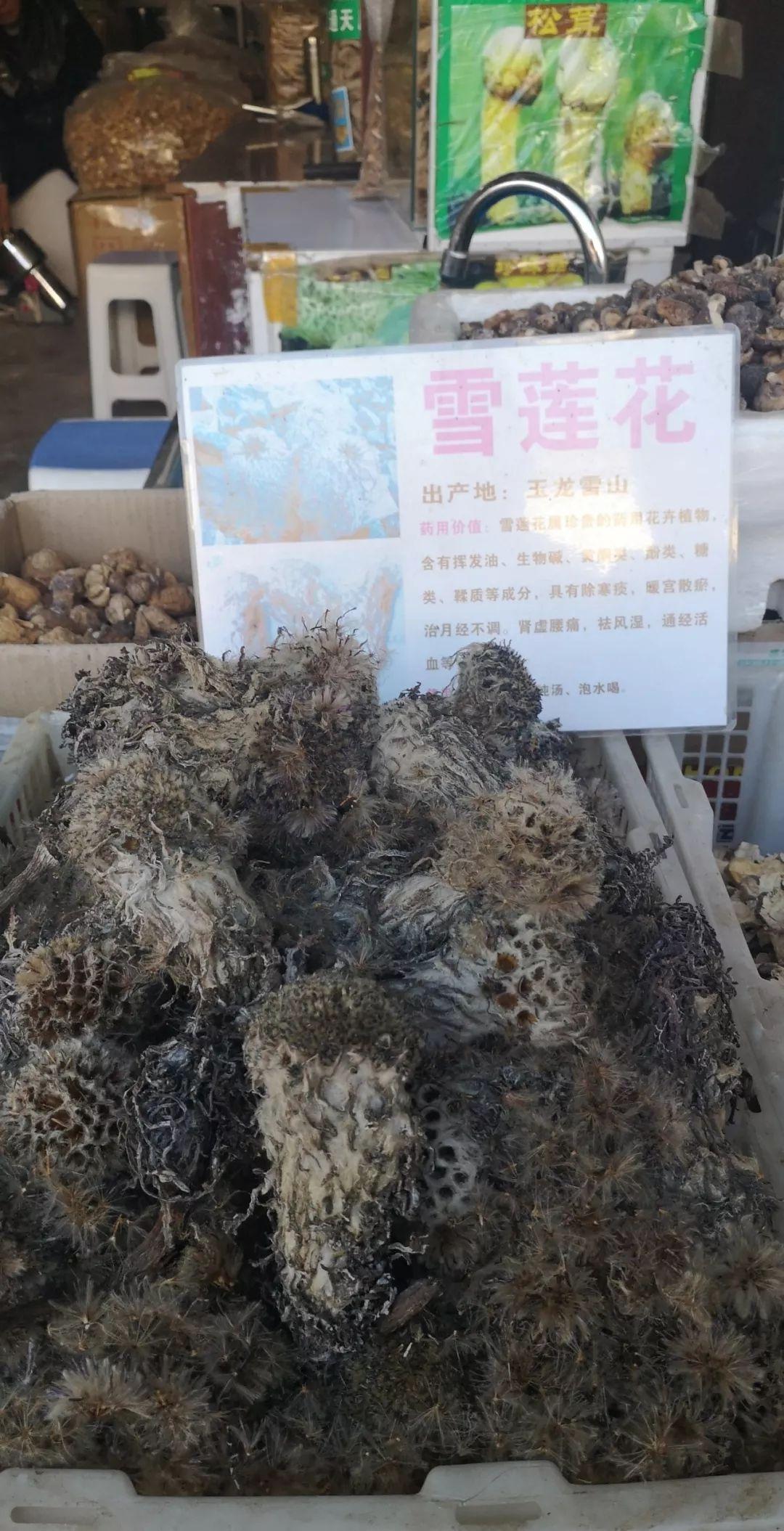圈与岩石圈的特殊地带是具有代表性的典型高寒生态系统之一生物量极低