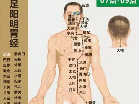 阳明胃经为何如此重要?丨国学音频课五折狂欢马上开始啦~|脾胃|黄帝|李杲_新浪新闻