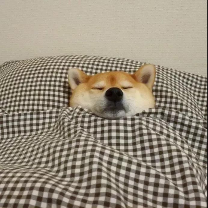 天气变冷,蒙头睡觉虽然暖和但对身体危害大,特别是小孩__财经头条