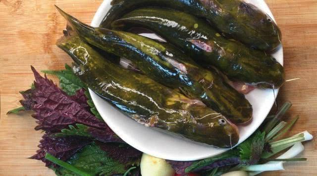 这种鱼很像黄颡鱼,常常以假乱真,各位钓鱼人,你们认识这种鱼吗