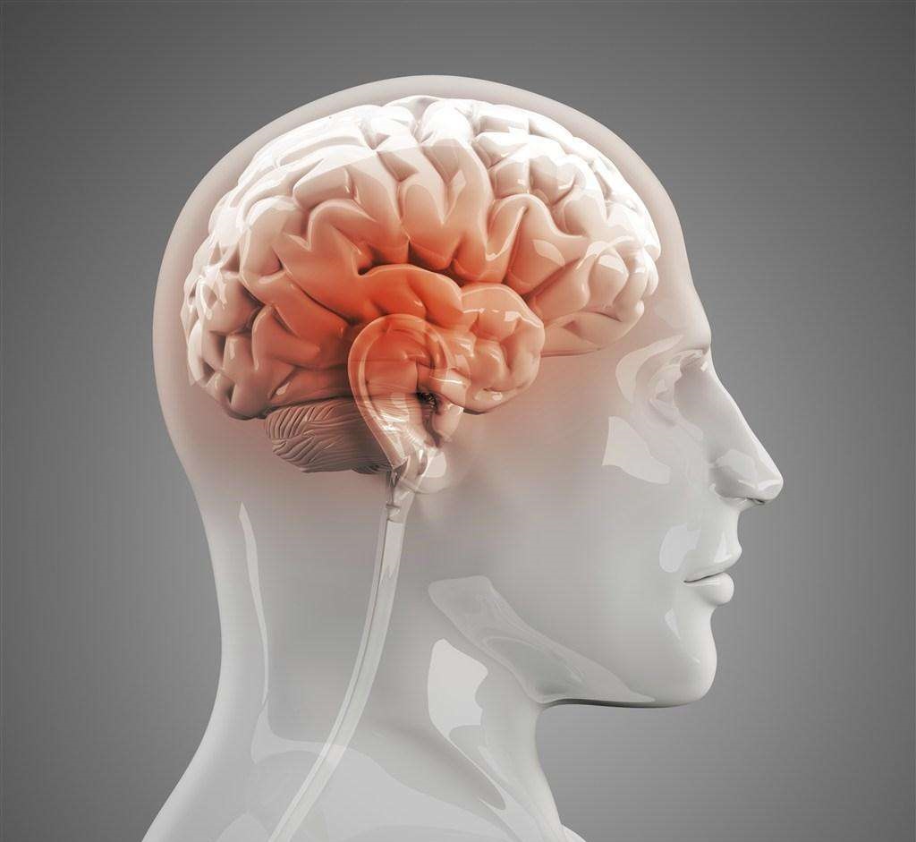 知识是天然存在的,大脑或许只是一个尚未激活的载体|大脑|知识|载体_