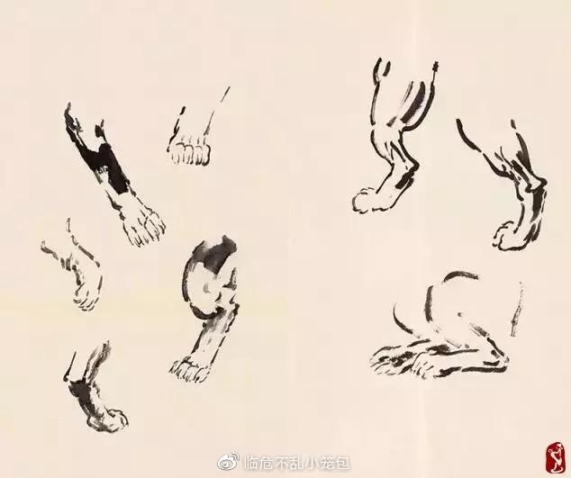 最全国画动物教程 经典徐悲鸿画马的步骤