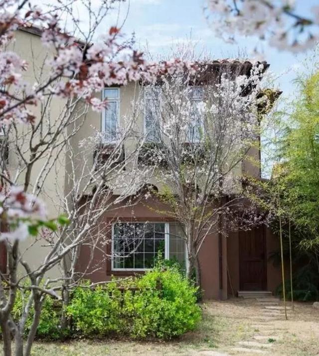 带你参观郎朗的豪宅,客厅还挂着自己的油画,看样子是太自恋了