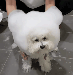 泡泡浴消费新趋势,美团如何重塑居家水疗体验