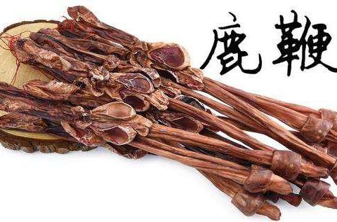 鹿鞭泡酒前要去毛吗 鹿鞭泡酒怎么泡最好