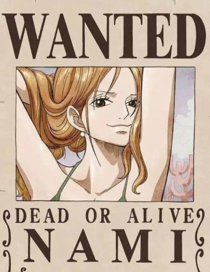 海贼王四个抓不到人的通缉令乌索普可以理解娜美也抓不到