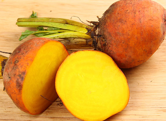 黄甜菜根呈金黄色质地脆嫩味甘甜