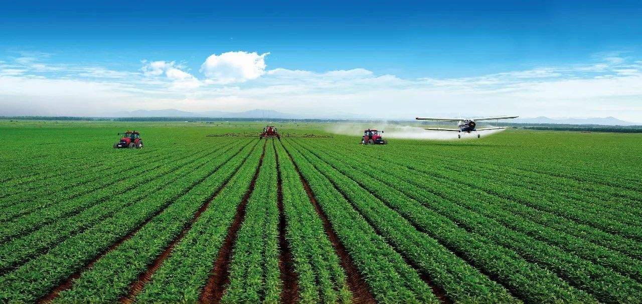 疯狂农场电脑版怎么下载 疯狂农场4手机版怎么下载