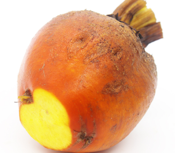 黄甜菜根呈金黄色质地脆嫩味甘甜