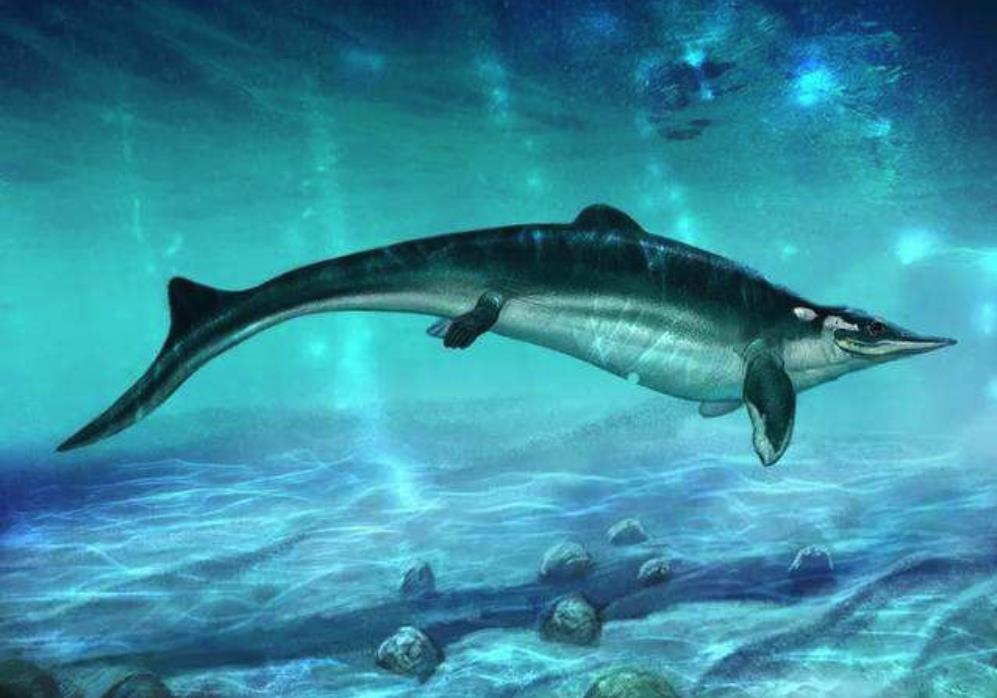 鲸鱼是最大动物?这种既像鱼又像龙的生物,诞生时恐龙还没出世
