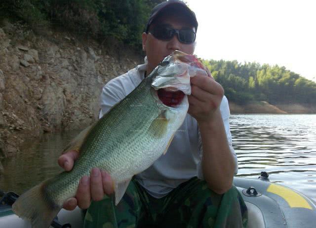 "泥鳅党"人人喊打,厉害之处究竟在哪,你会用泥鳅钓鱼吗