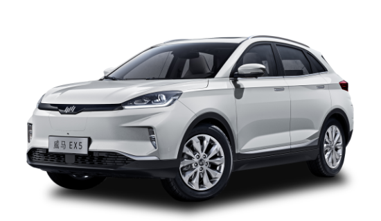 2020年在即，新势力三强距“小目标”还差多远