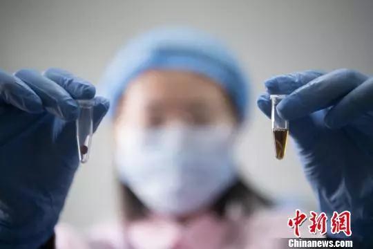 资料图:工作人员提取DNA。 韦亮 摄