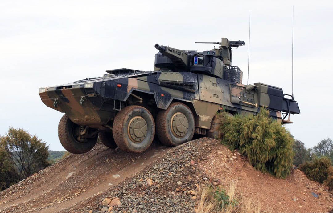 模块化设计的拳师犬拥有德国装甲优秀基因乘坐堪比豪车