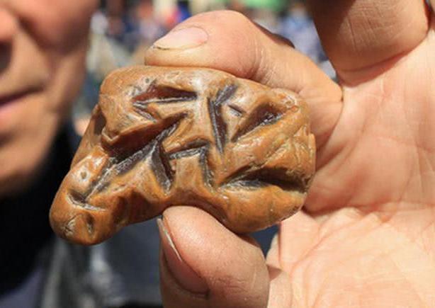 大爷捡了块石头,因纹路特殊要卖100000高价,至今在等"有缘人"