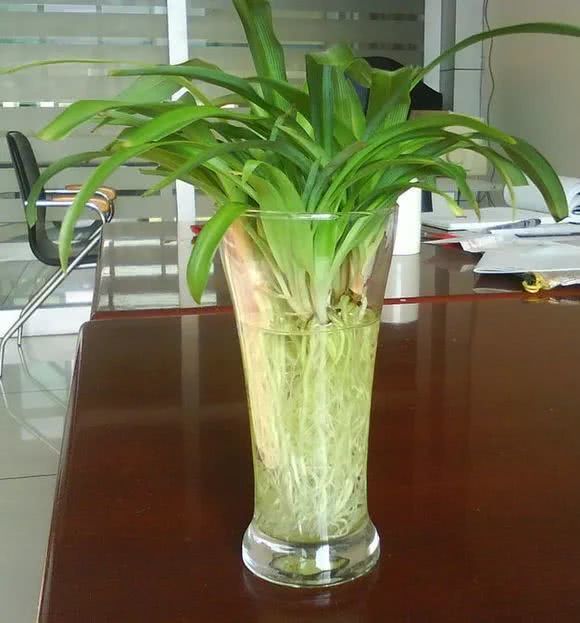 江阴seo优化报价