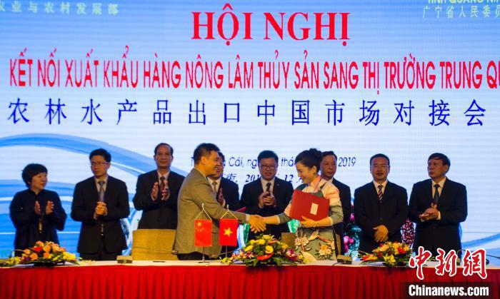 2019越中(芒街-东兴)国际商贸·旅游博览会开幕