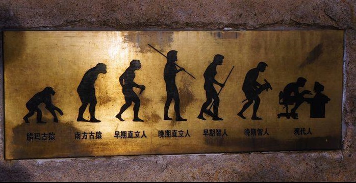 人类|人种|智人_新浪新闻