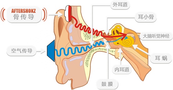 骨传导黑科技耳机用它解放耳朵聆听最美的音乐盛宴