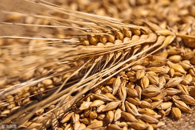 深度观察:西王集团陷百亿债务难自拔