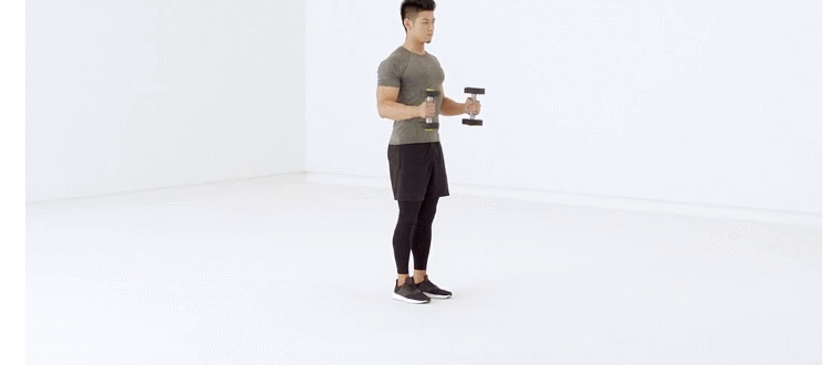 哑铃锤式弯举这个动作采取站姿或者是坐姿都可以.