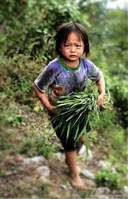 农村四岁小女孩,每天上山邦父母割草,衣衫褴褛甚至连鞋都没穿