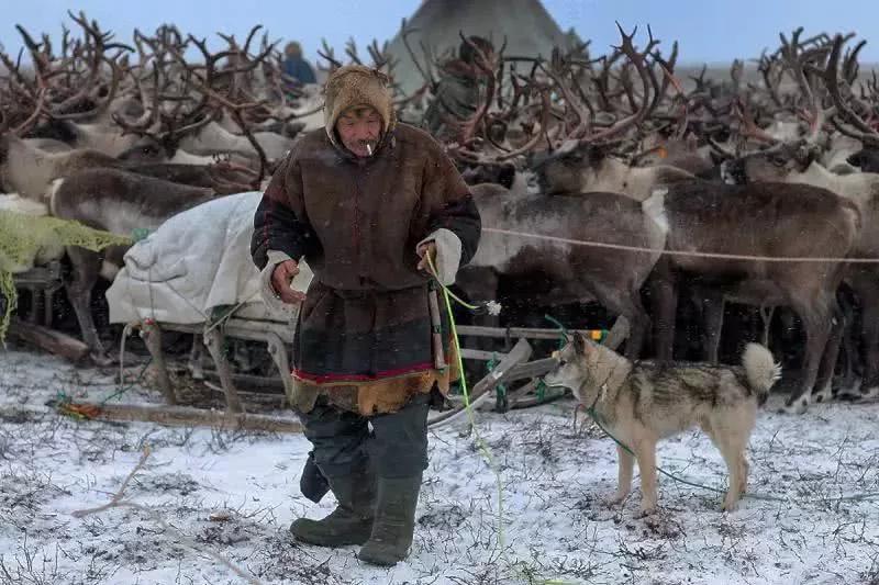大兴安岭原始森林里的鄂温克族最后的狩猎部落和最后的女酋长