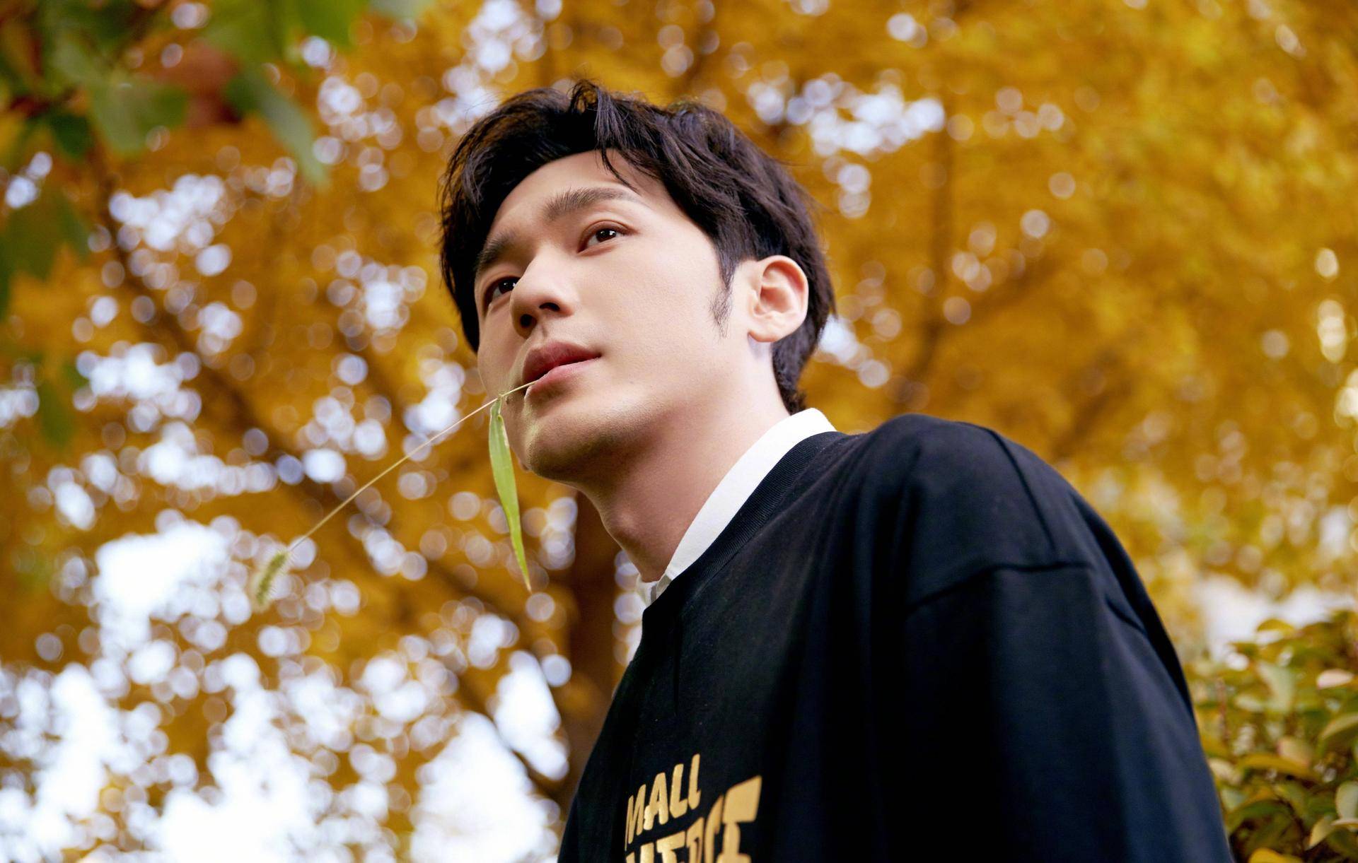 盘点娱乐圈的拼命三郎:吴磊从小演到大,罗云熙带伤拍戏太敬业