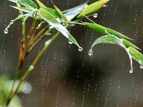 杜甫的一首雨诗,诗情画意,好似一幅甜美的晨雨图|大自然|杜甫|诗情画意_新浪新闻