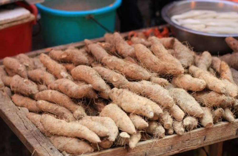 潮汕地区盛产的薯类,一串有4斤多,一斤20元堪称薯中"贵族"