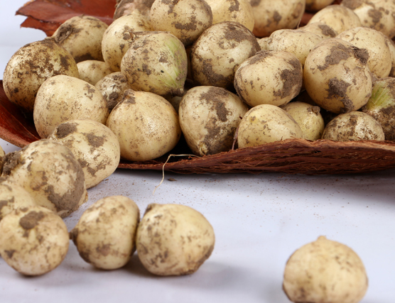 苦藠具有清热,降燥,排毒,养颜之功效,这种蔬菜你吃过吗?