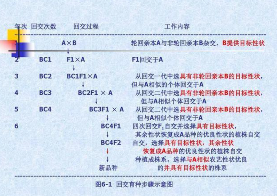 人类不可以近亲结婚动物却可以回交难道不怕生出畸形动物吗