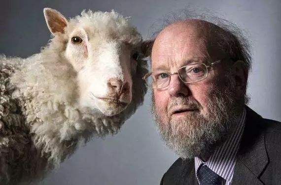 世界上第一只克隆羊"多利",还活在世上吗?为何现在没人提了?