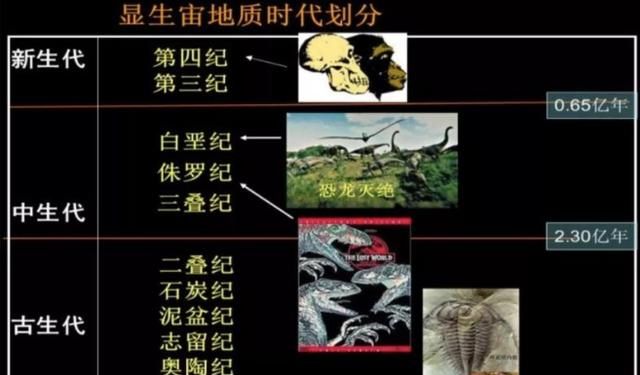地球曾发生5次生物大灭绝,我们是否正处于第六次大灭绝当中?|显生宙|地球|二叠纪_新浪新闻