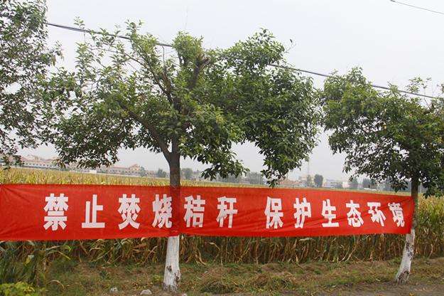 秸秆全年禁烧宣传口号层出不穷为何难禁止村民没解决问题